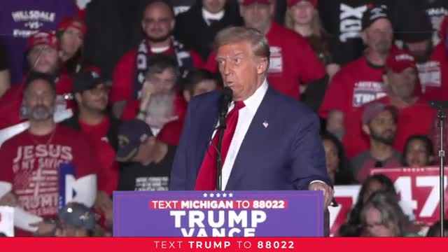 Trump vows to revive Detroit auto industry in bold rally speech
