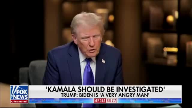 Trump claims government weaponized against him in explosive interview