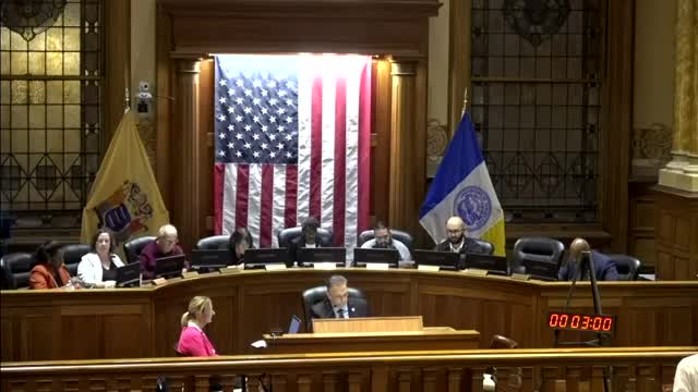 Council debates controversial driveway ordinance amid ownership concerns