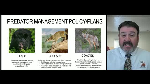 Utah launches ambitious plan to protect mule deer populations