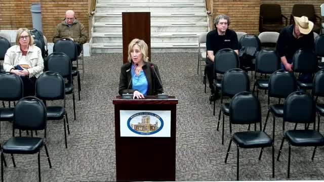 Tiny Homes Taxation Sparks Debate Over Affordable Housing