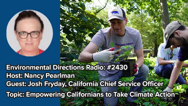 California launches ambitious tree planting initiative for climate action