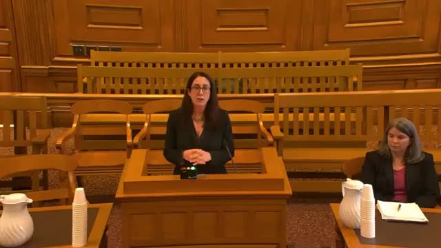 Child's best interest at stake in custody battle