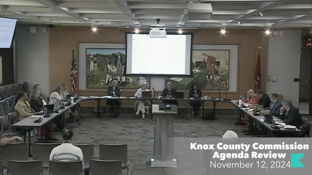 County debates funding for theaters showing explicit content