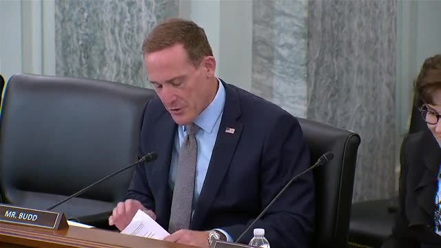 Travel and tourism sector rebounds after pandemic devastation