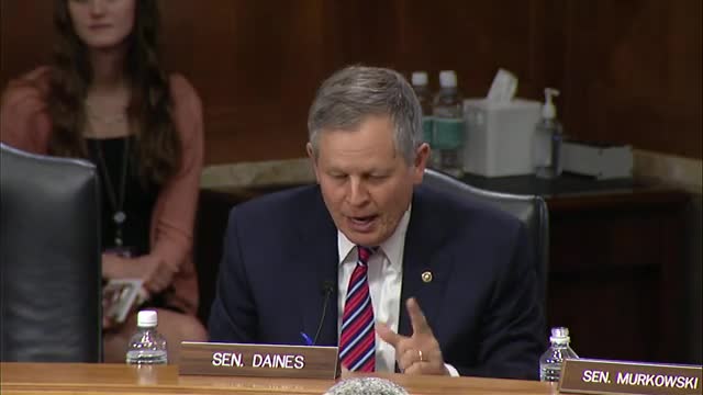 Bravery of Yellowstone Rangers Thwarts Potential Mass Shooting