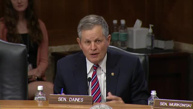 Senators demand swift action on grizzly bear delisting review