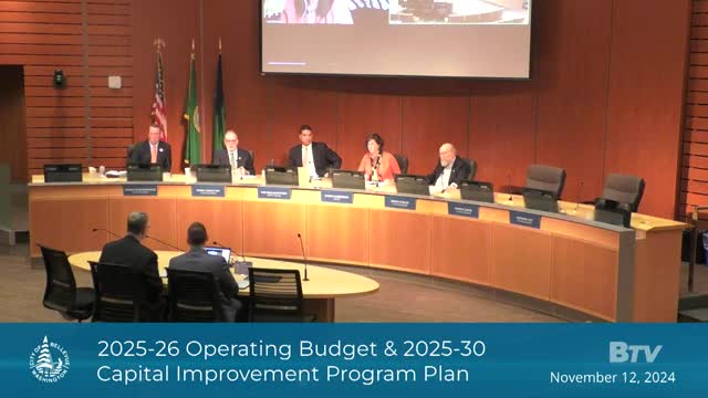 City Council debates urgent funding for community services