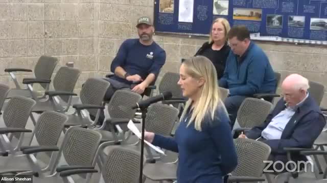 Residents rally against push for partisan local government