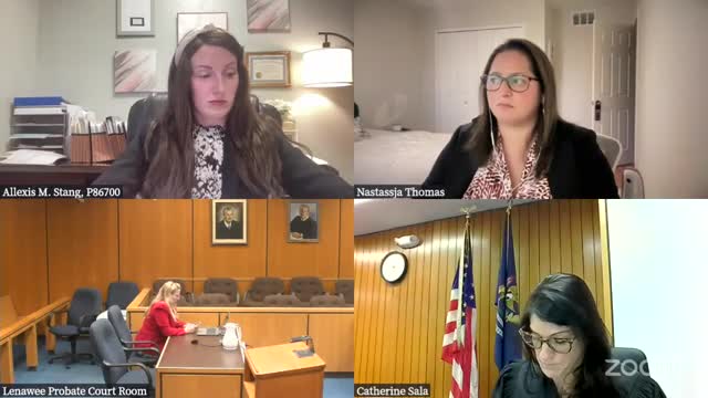 Child custody battle raises concerns over parental fitness