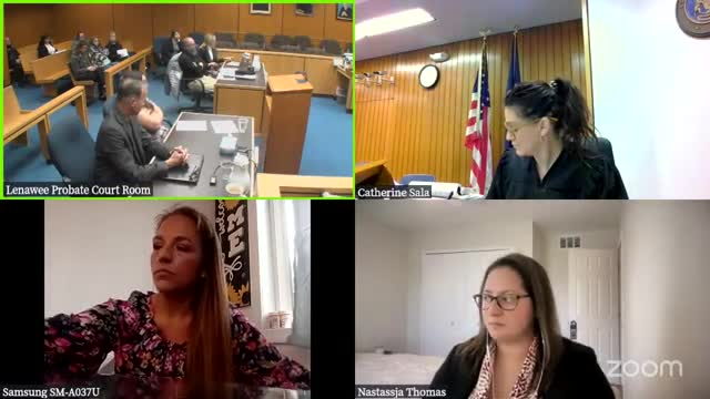 Court Considers Parenting Time Amid Domestic Violence Concerns