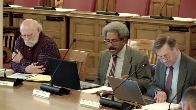 Residents Rally Against Controversial New Parking Lot Proposal