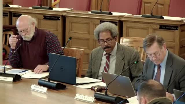 City Council Approves New Restaurant Amid Community Excitement