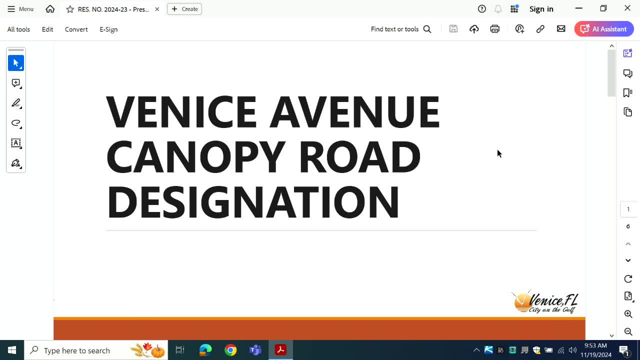 City proposes canopy road protection to save aging trees