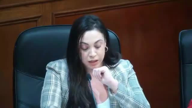 City Council Faces Controversy Over School Board Proposal