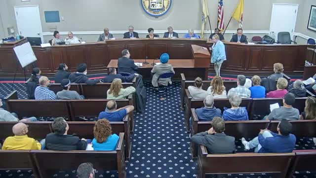 Residents rally against massive home proposal threatening neighborhood charm