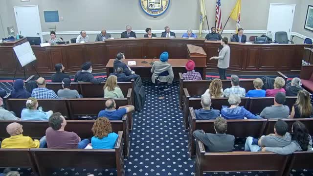 Residents clash over controversial mansion development plans