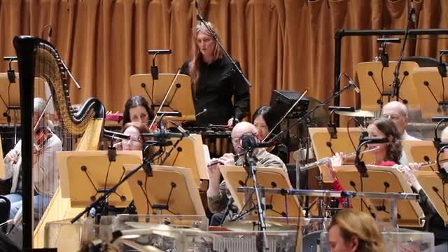 Pops concerts redefine orchestral music with diverse genres
