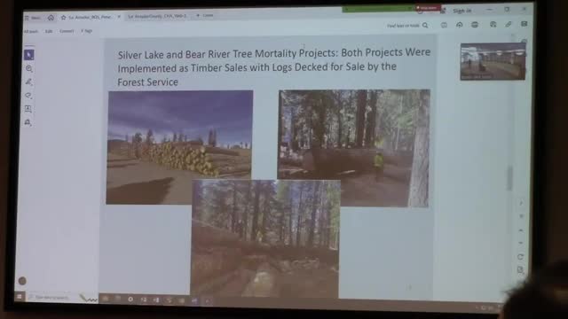 Tree mortality crisis deepens as surveys reveal alarming trends
