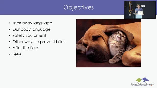 Understanding Dog Body Language to Prevent Bites