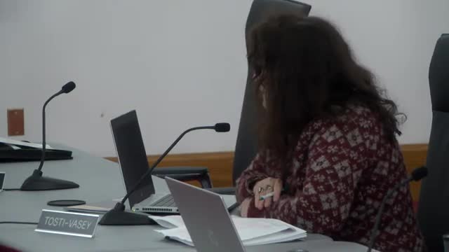 Council grapples with public transit crisis impacting jobs