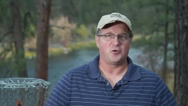 Discover the affordable thrill of disc golf