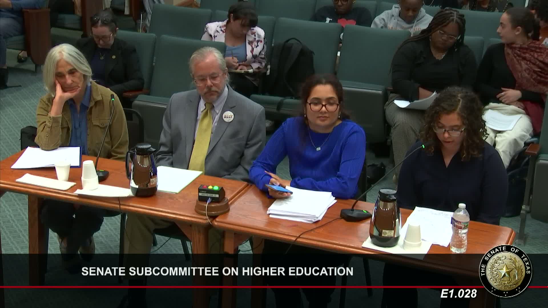 Texas students rally against dismantling DEI programs