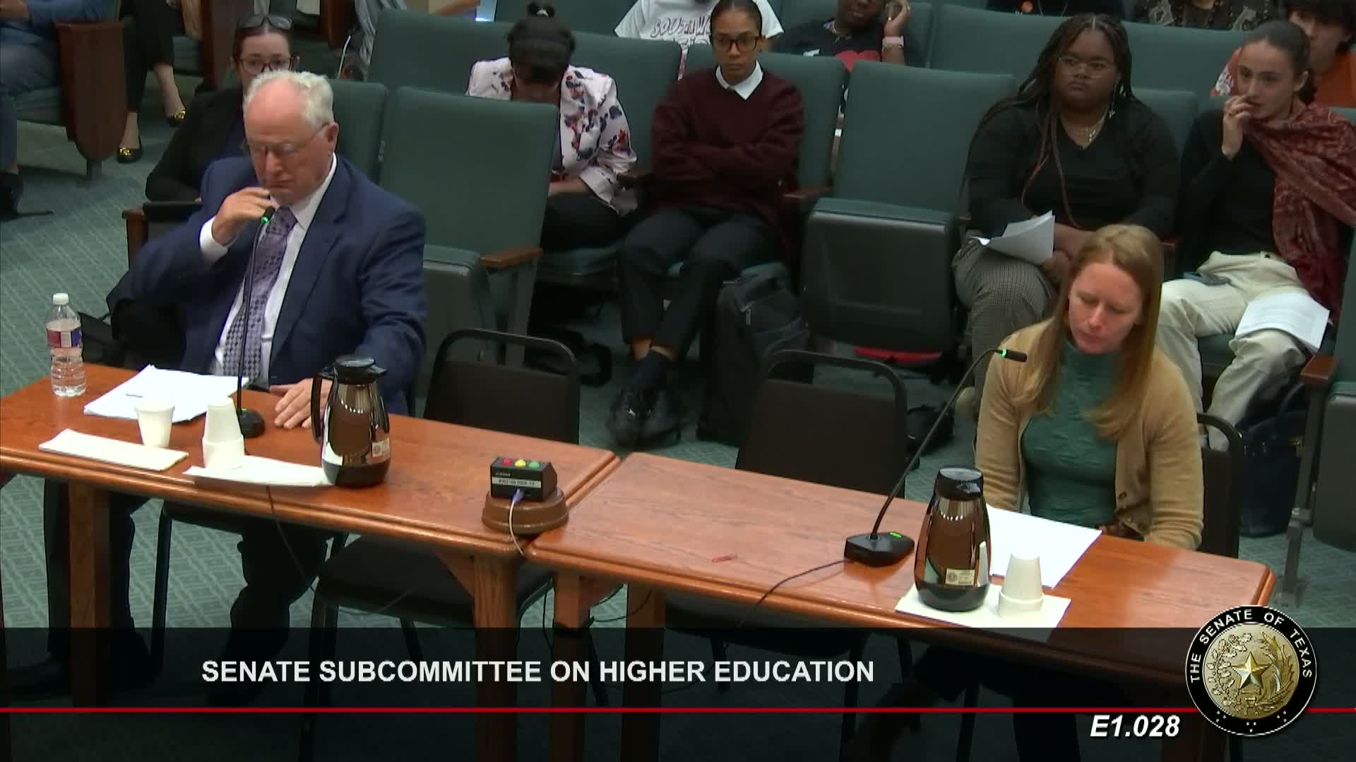Texas educators warn against harmful anti DEI legislation