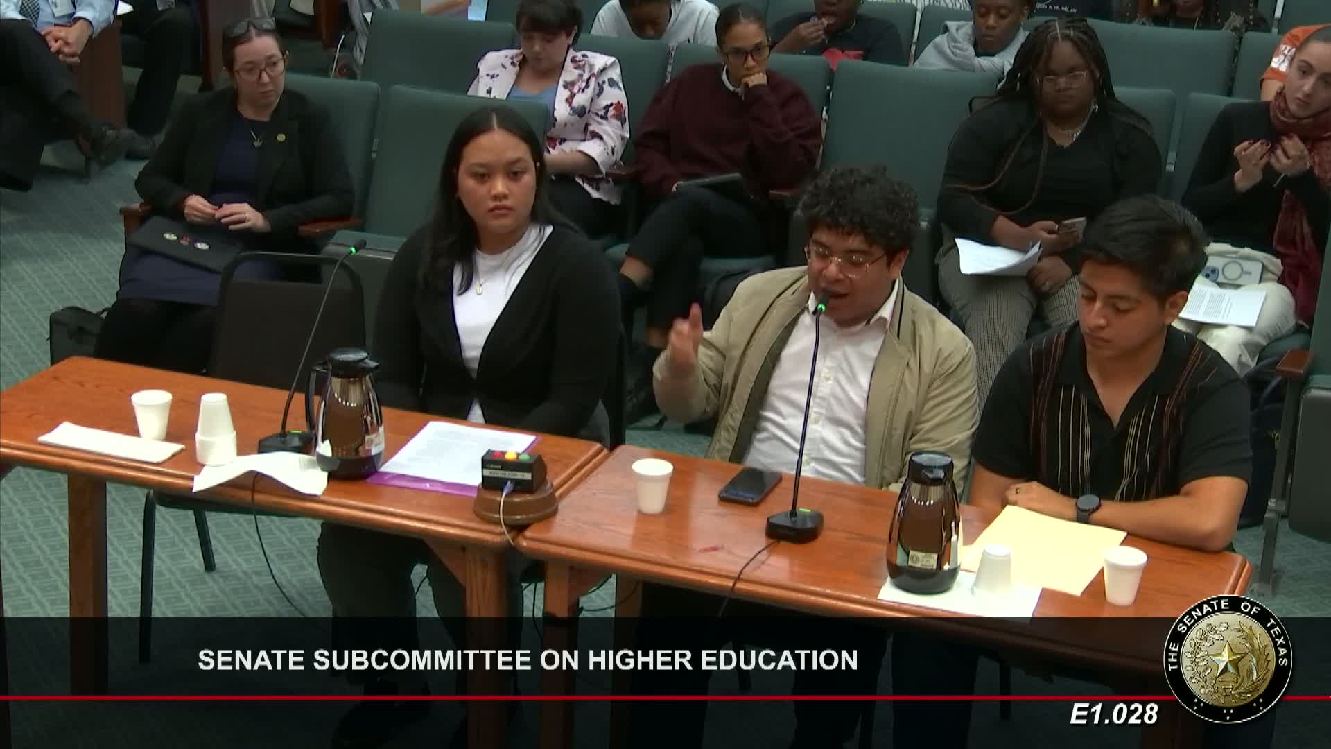 Texas Students Rally Against DEI Cuts to Protect Education