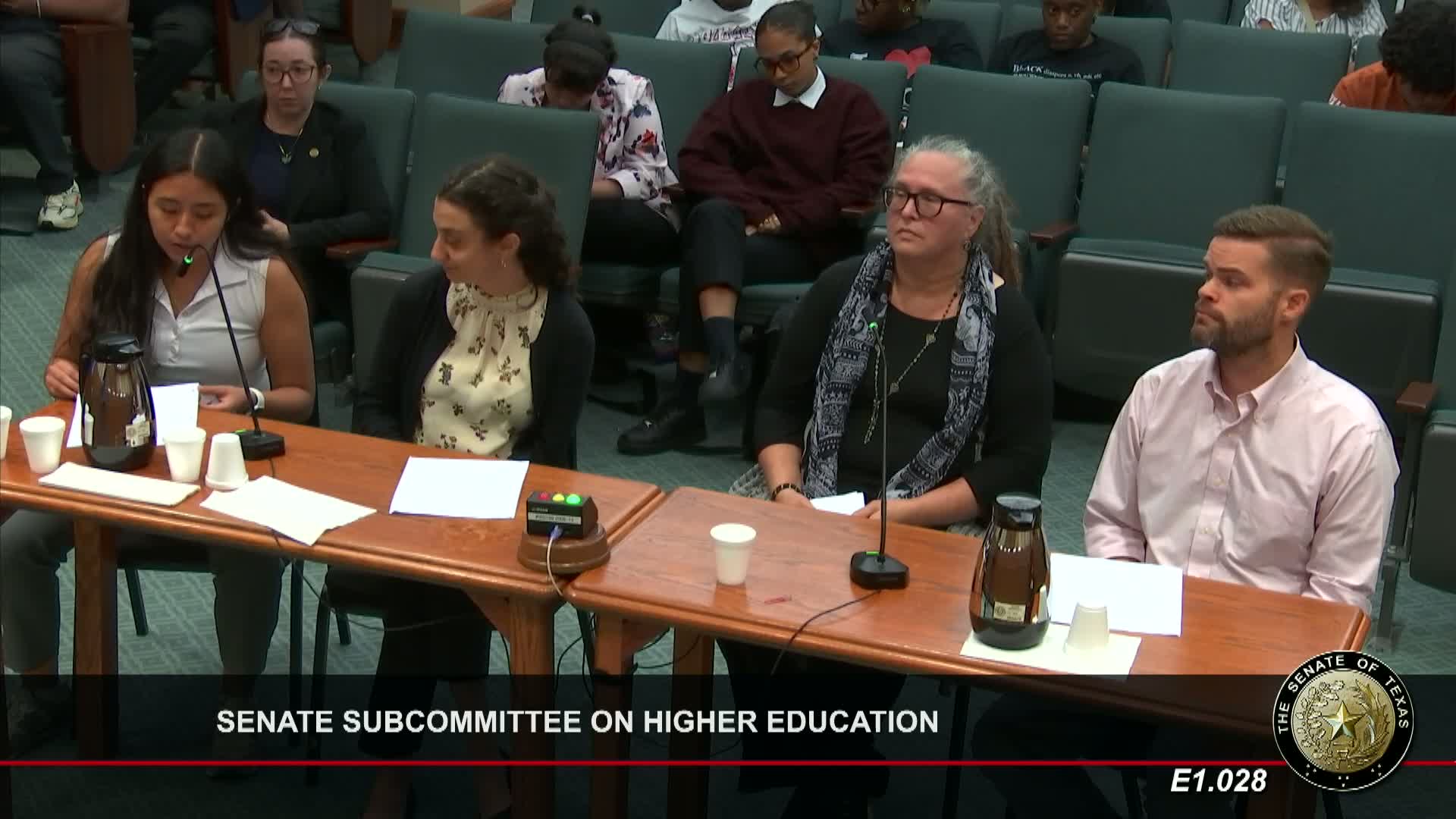 Students rally against Texas Senate bill targeting DEI programs
