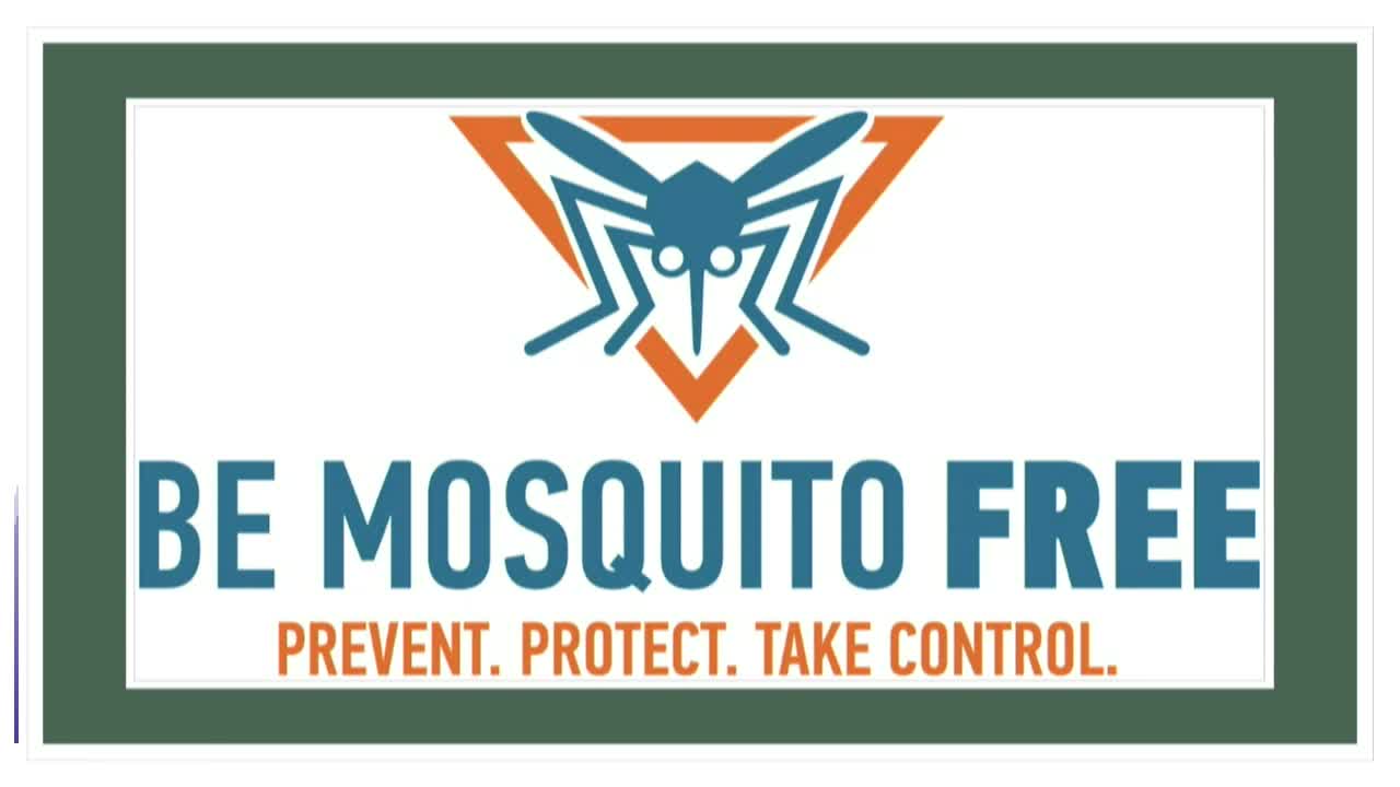 City Council Debates Mosquito Control Strategies Amid Health Concerns