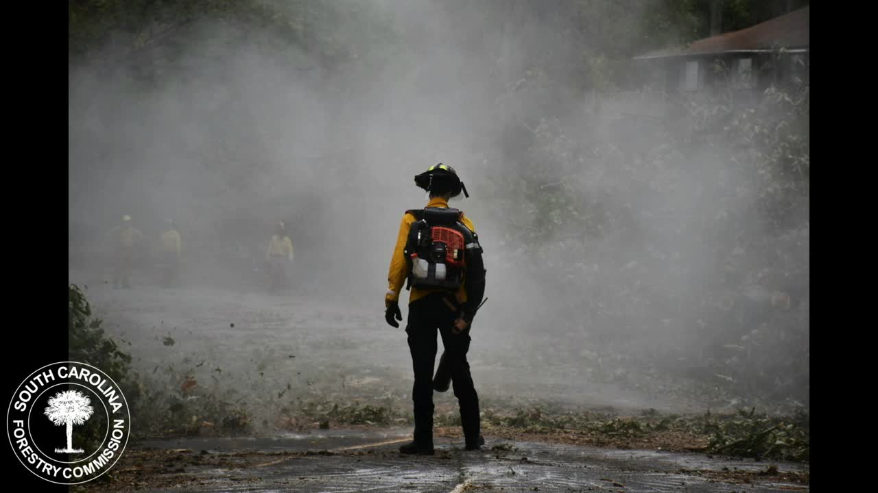 South Carolina faces massive timber losses after devastating storm