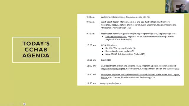 Marine mammal rescue network faces crisis amid strandings