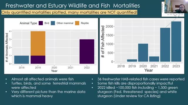 Massive fish kills raise alarm over toxic water conditions