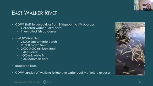 CDFW launches urgent response to fish kill crisis