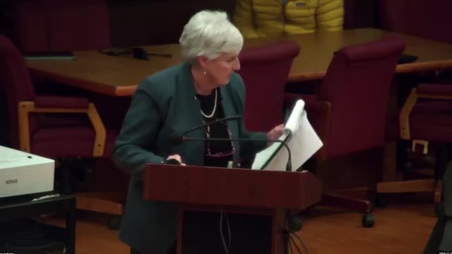 City Council Faces Heated Debate Over Controversial Building Project