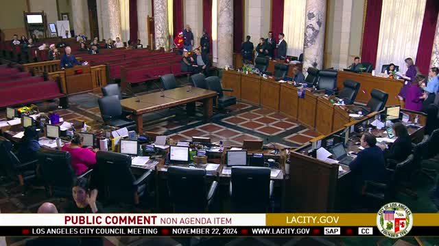 Los Angeles residents demand accountability for homelessness and budget mismanagement at city council meeting