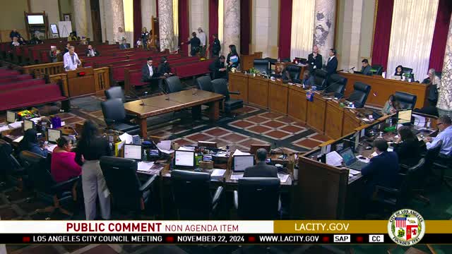 City Council Meeting Disrupted by Homeless Activist's Controversial Immigration Remarks