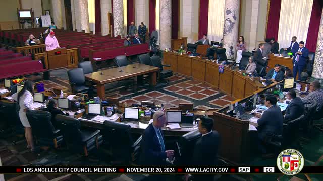 Los Angeles council faces backlash over sanctuary city comments and living wage concerns