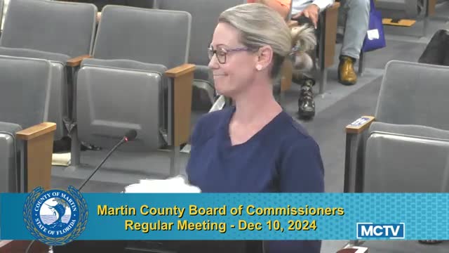 Public comments spark debate over new Wawa gas station proposal in Skyline Drive community