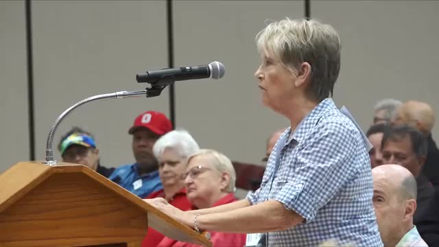 Lakeview residents demand broader community input amid planning committee controversies