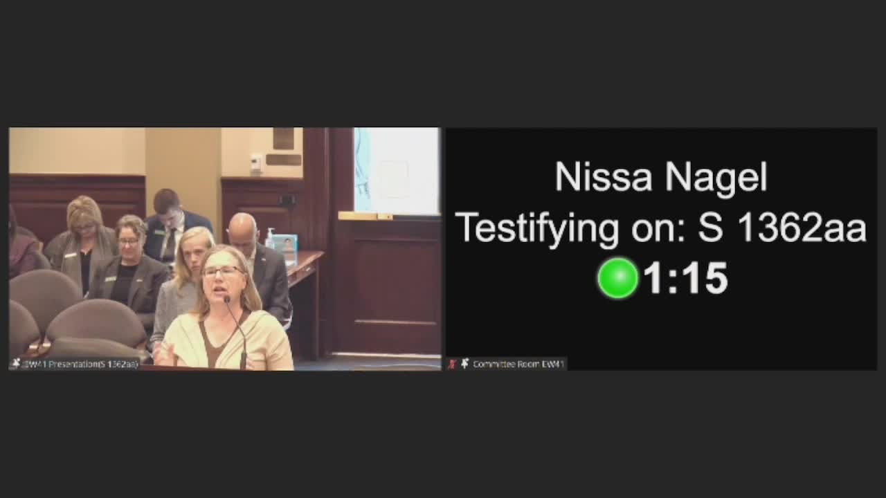 Idaho lawmakers debate bill banning political flags in schools amid LGBTQ concerns