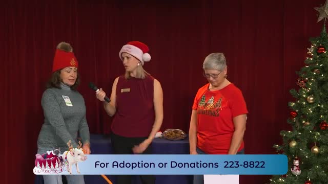 Local shelter seeks loving homes for Dolly and Lacey ahead of holiday season