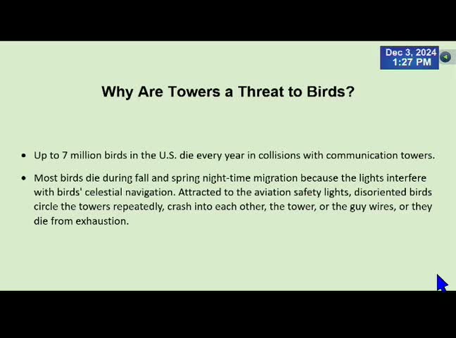South Florida advocates push for bird-friendly tower lighting to reduce avian fatalities