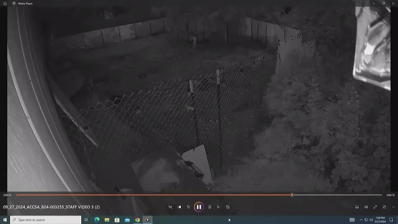 Dog owner defends pets amid concerns over aggressive behavior in neighborhood dispute