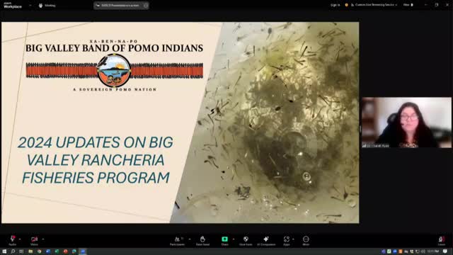 Big Valley Band of Pomo Indians conducts fish rescues as creeks dry up
