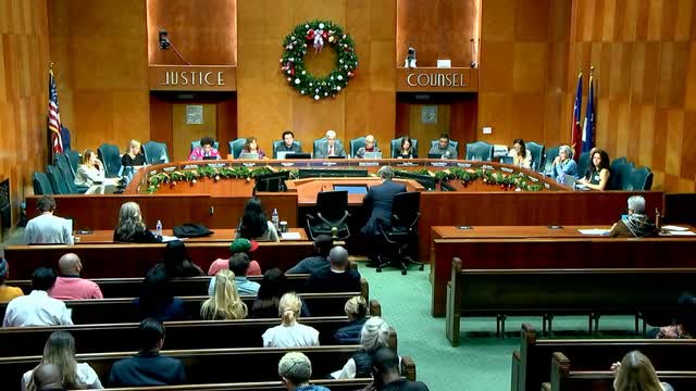 Houston council faces backlash over proposed short-term rental liability regulations