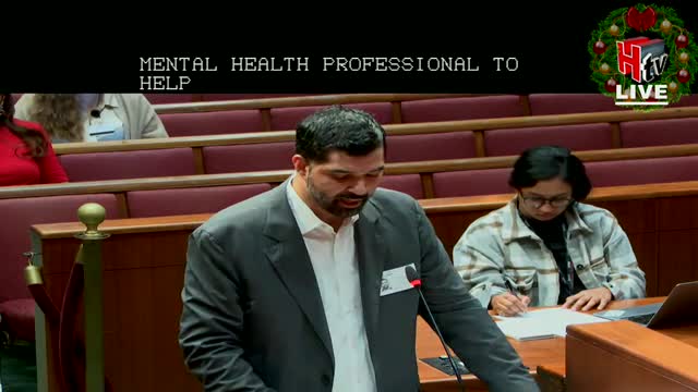 Houston Council Urged to Expand Mental Health Crisis Response Amid Rising Community Needs