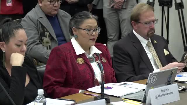 Navajo Council Delegate advocates for accountability in missing and murdered Indigenous women hearing