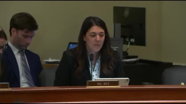 Congressional hearing exposes foreign influence in US elections and discusses security measures